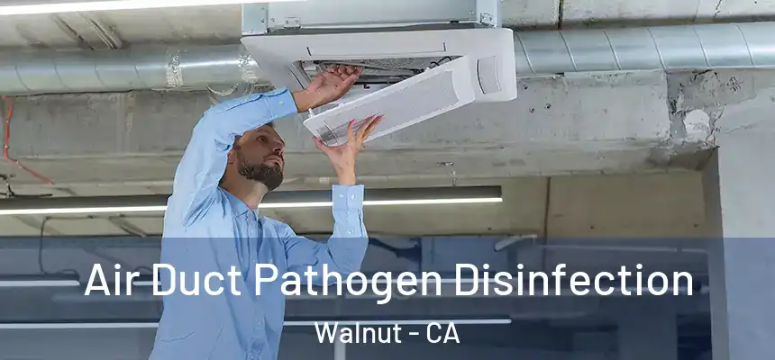  Air Duct Pathogen Disinfection Walnut - CA