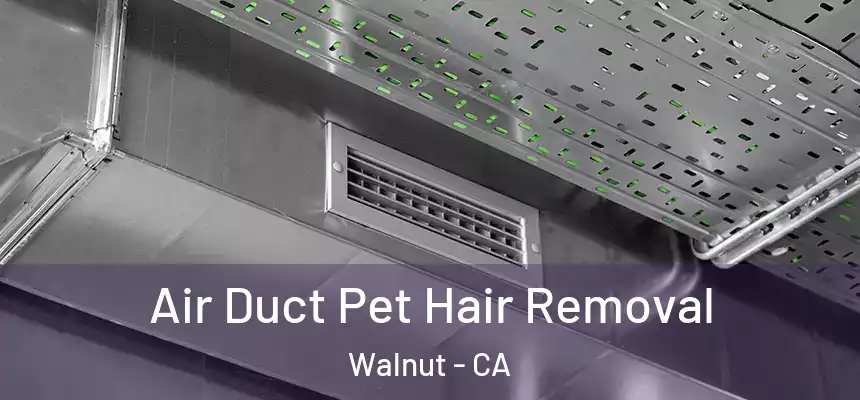  Air Duct Pet Hair Removal Walnut - CA