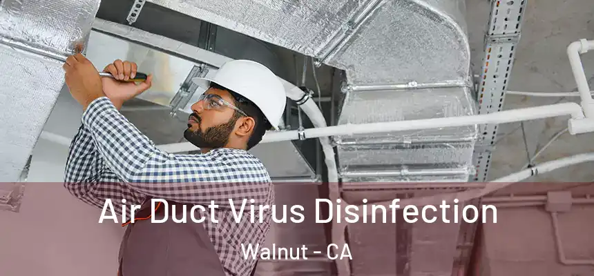  Air Duct Virus Disinfection Walnut - CA