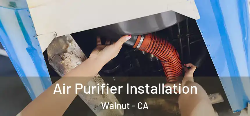  Air Purifier Installation Walnut - CA