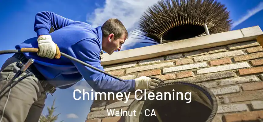  Chimney Cleaning Walnut - CA
