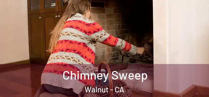  Chimney Sweep Walnut - CA