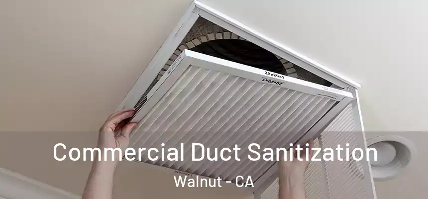 Commercial Duct Sanitization Walnut - CA
