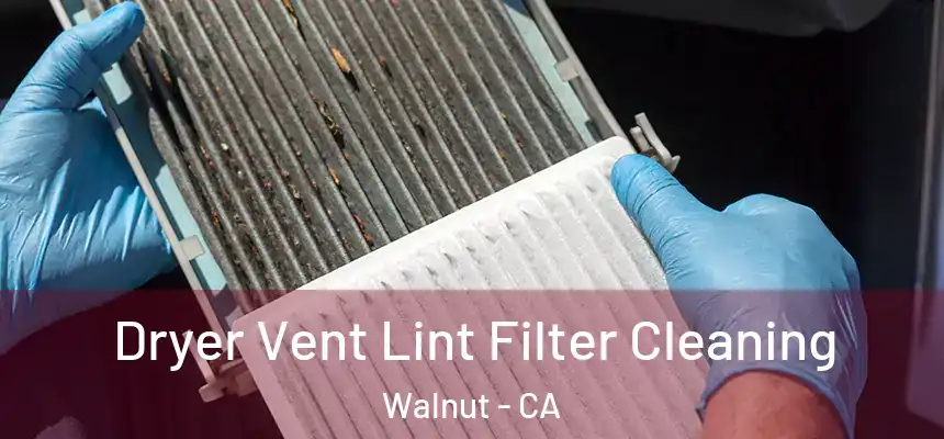  Dryer Vent Lint Filter Cleaning Walnut - CA