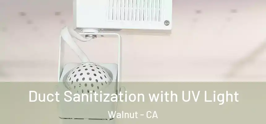 Duct Sanitization with UV Light Walnut - CA