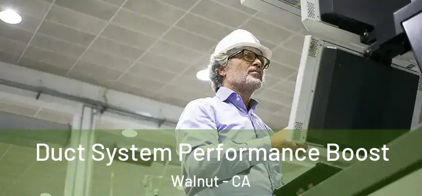 Duct System Performance Boost Walnut - CA