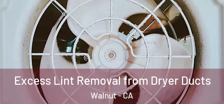 Excess Lint Removal from Dryer Ducts Walnut - CA