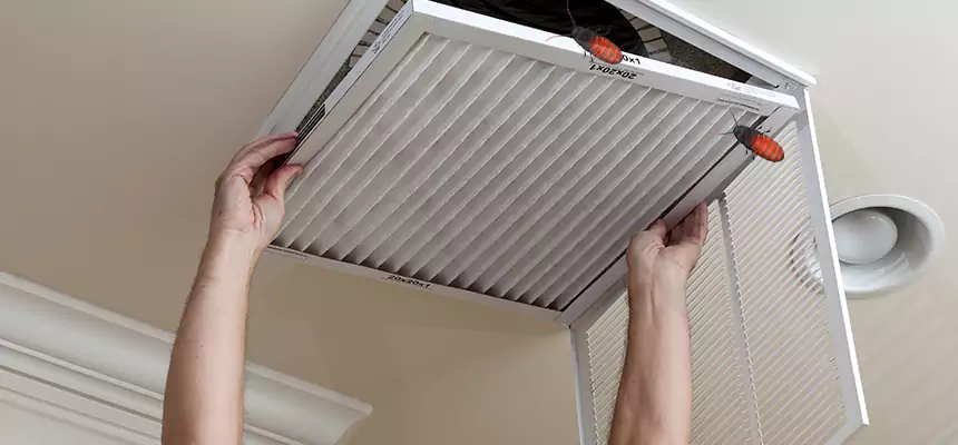 Preventive Cockroach-Proofing for Ducts in Walnut