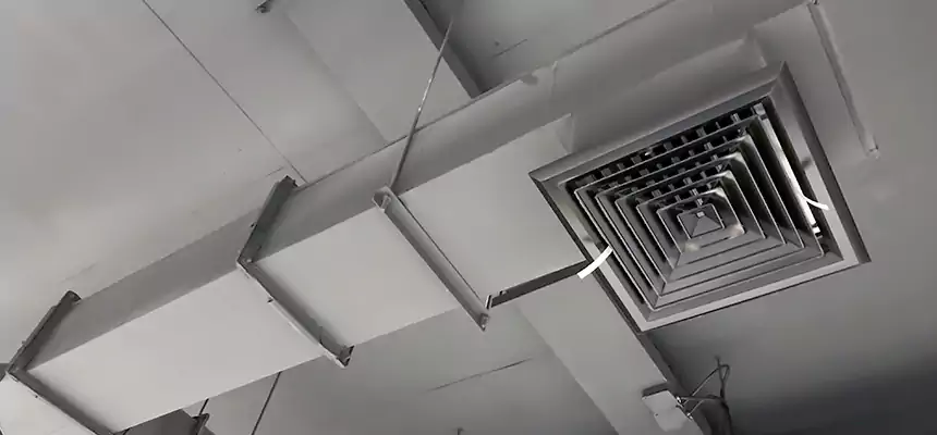 Our Rodent Droppings In Vents Services in Walnut, CA