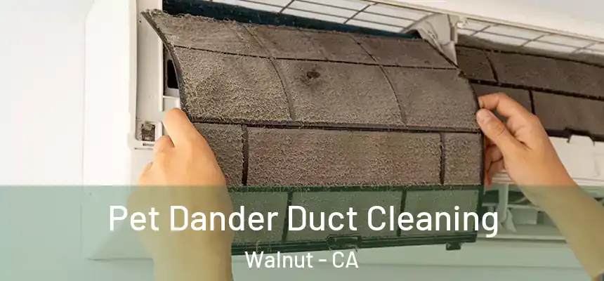 Pet Dander Duct Cleaning Walnut - CA