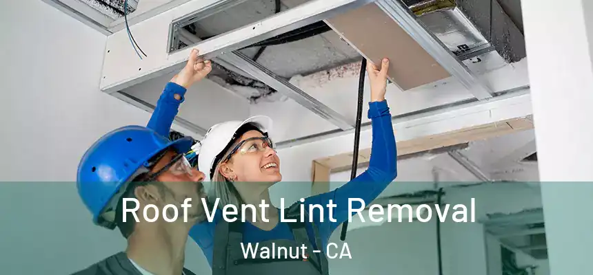 Roof Vent Lint Removal Walnut - CA