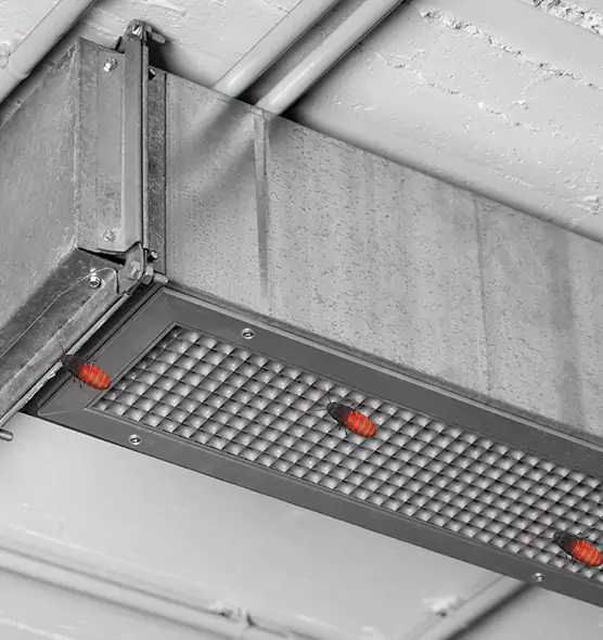 About Air Duct Cockroach Removal in Walnut, CA