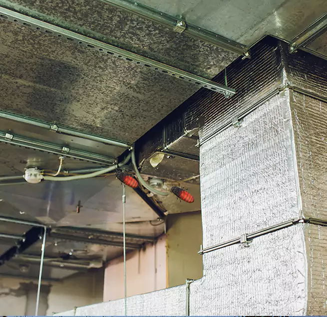 Why Homeowners & Businesses Trust Us in Walnut, CA?