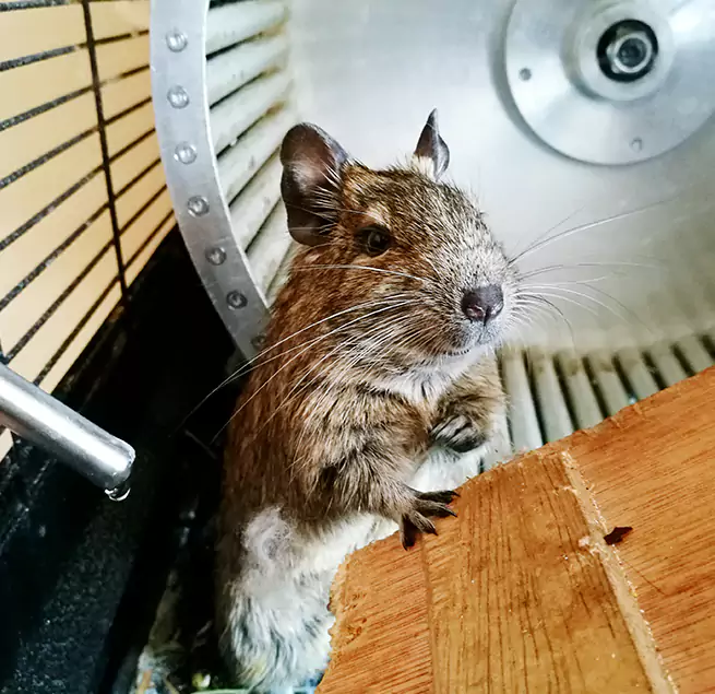 Why Homeowners & Businesses Trust Us Walnut, CA