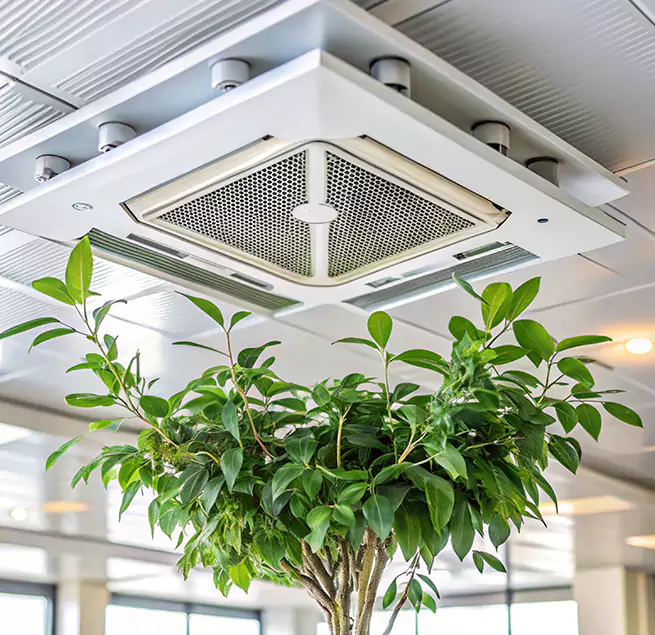 Why Homeowners & Businesses Trust Us in Walnut, CA