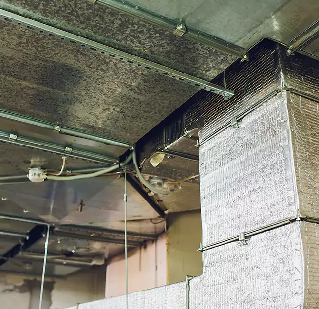 Why Homeowners & Businesses Trust Us in Walnut, CA?