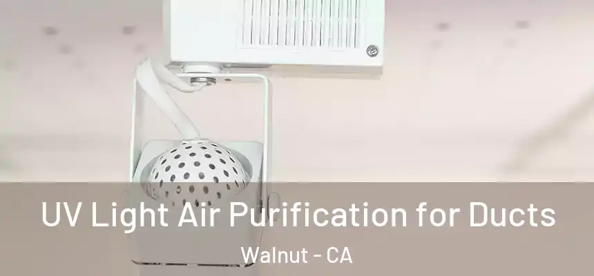 UV Light Air Purification for Ducts Walnut - CA
