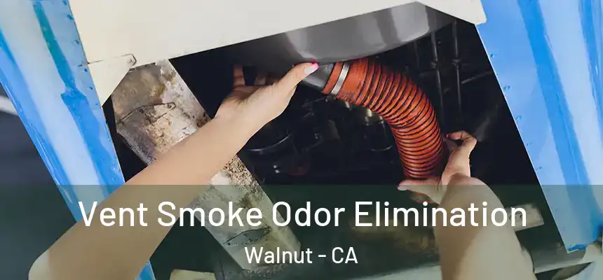 Vent Smoke Odor Elimination Walnut - CA